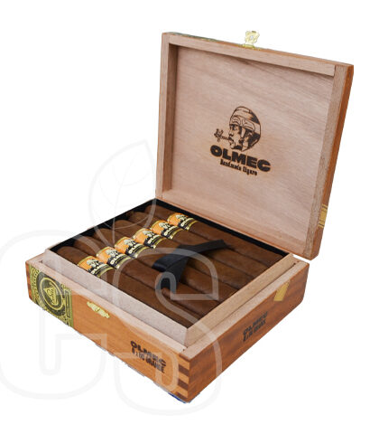 FOUNDATION - OLMEC CLARO GRANDE