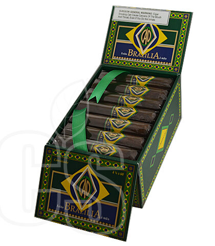 CAO BRAZILIA CORCOVADO